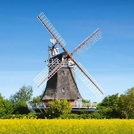 Doppelhaus In Auf Foehr 別荘